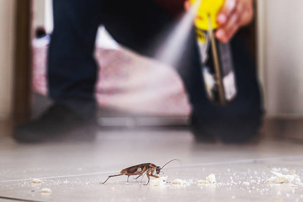 Pest Control Cost in Kittery Point, ME